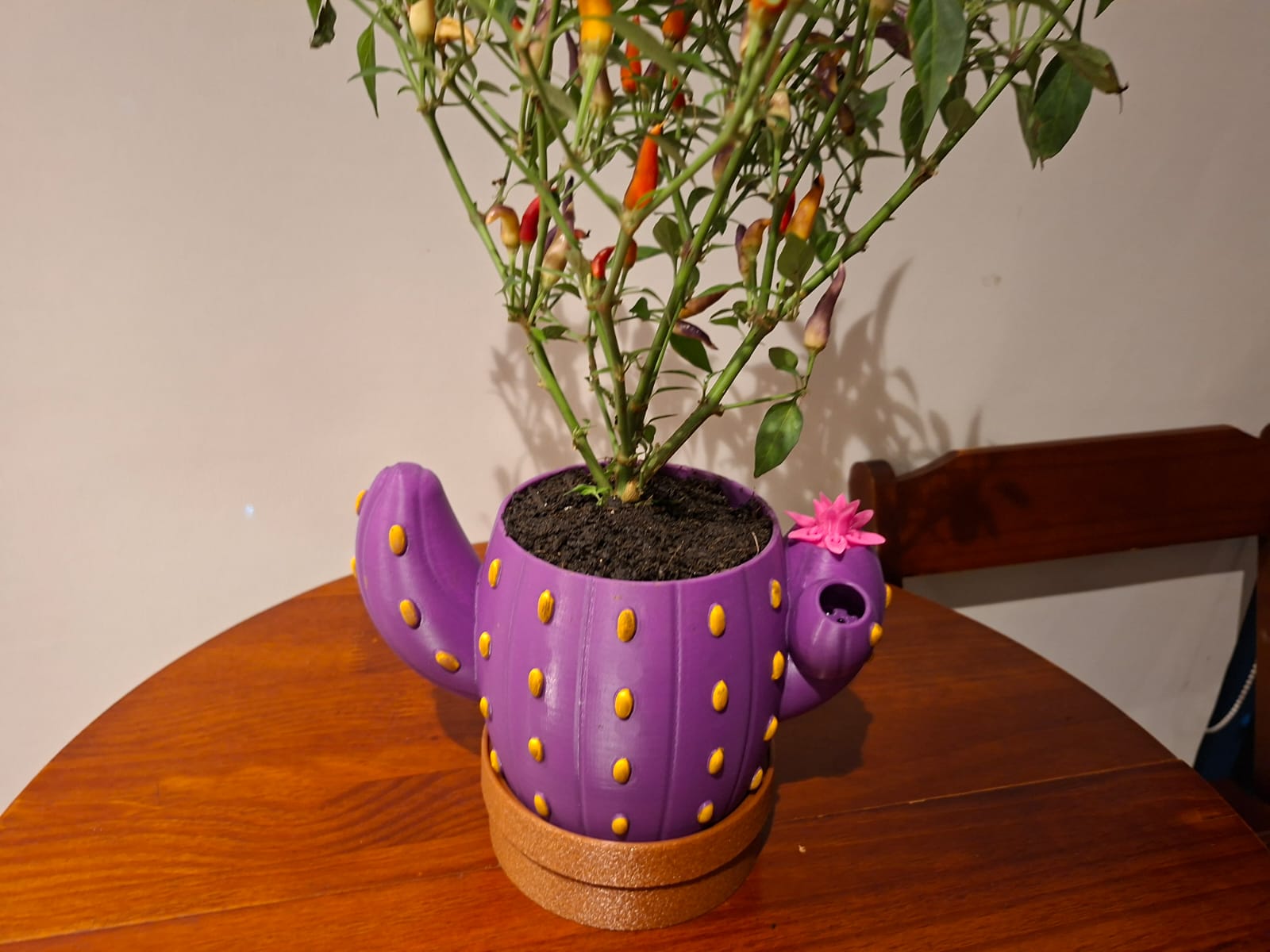 Vaso Inteligente - Cacto